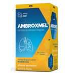 Ambroxmel-Xarope-Expectorante-Infantil-120ml