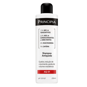 Shampoo Antiqueda Principia AQ-01 com 250ml